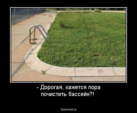 - Дорогая, кажется пора почистить бассейн?!