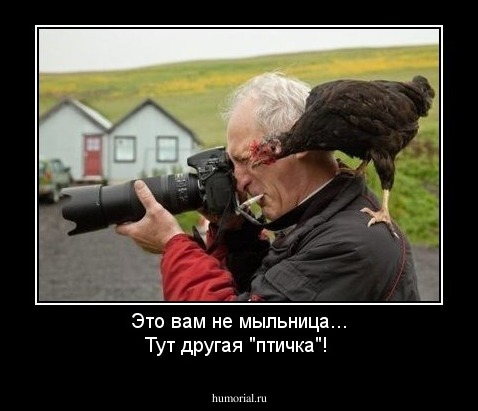 Это вам не мыльница... Тут другая "птичка"!