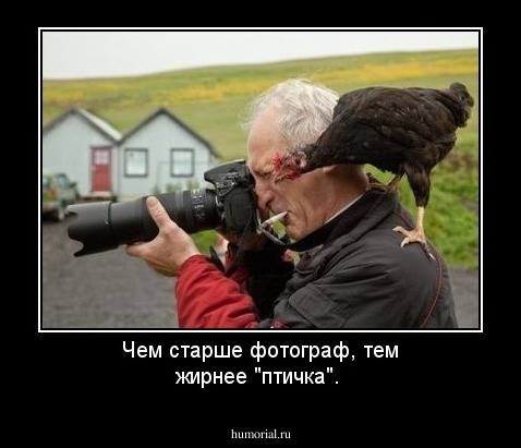 Чем старше фотограф, тем жирнее "птичка".