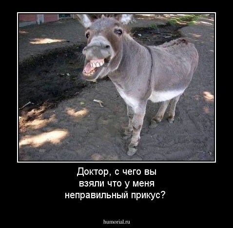 Доктор, с чего вы взяли что у меня неправильный прикус?