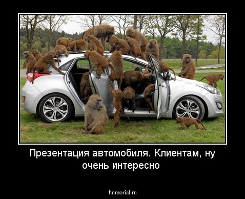 Презентация автомобиля. Клиентам, ну очень интересно