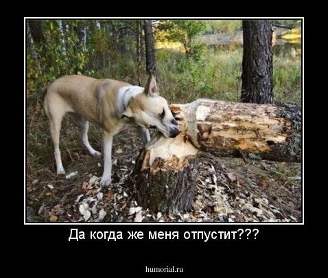 Да когда же меня отпустит???
