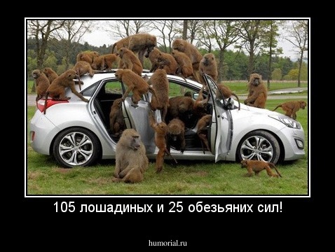 105 лошадиных и 25 обезьяних сил!