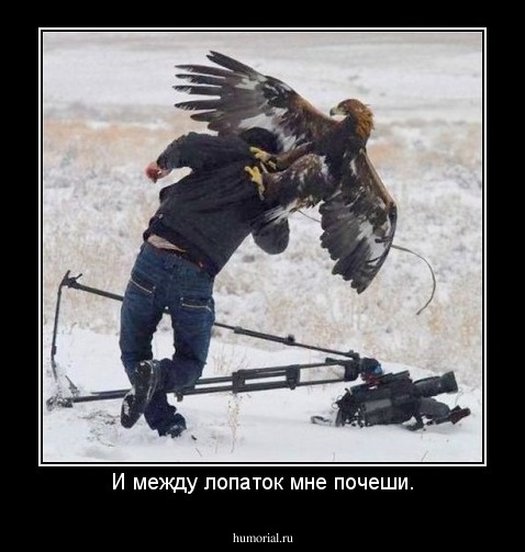 И между лопаток мне почеши.
