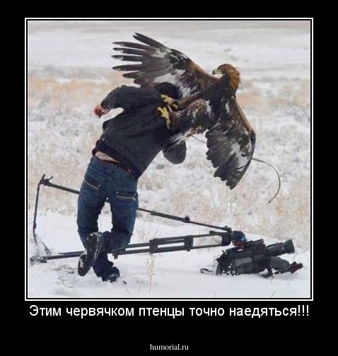 Этим червячком птенцы точно наедяться!!!