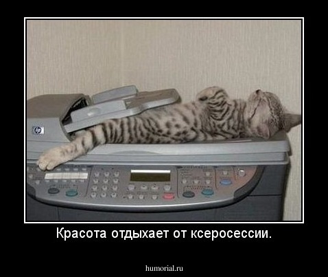 Красота отдыхает от ксеросессии.