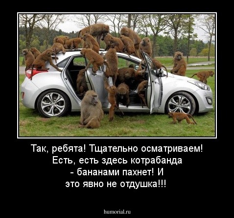 Так, ребята! Тщательно осматриваем! Есть, есть здесь котрабанда - бананами пахнет! И это явно не отдушка!!!