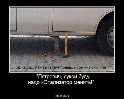  : "Петрович, сукой буду,  надо кОтализатор менять!"