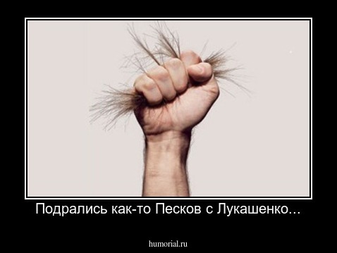 Подрались как-то Песков с Лукашенко...