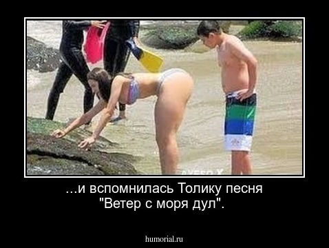  ...и вспомнилась Толику песня "Ветер с моря дул".