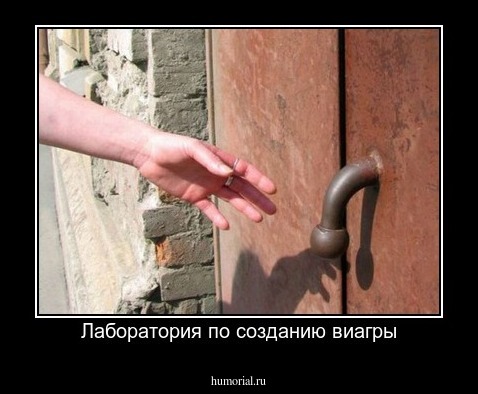 Лаборатория по созданию виагры