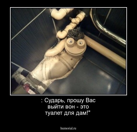 : Сударь, прошу Вас выйти вон -  это туалет для дам!"