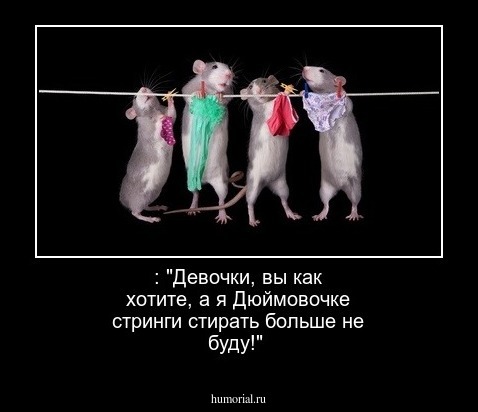  : "Девочки, вы как хотите, а я Дюймовочке стринги стирать больше не буду!"