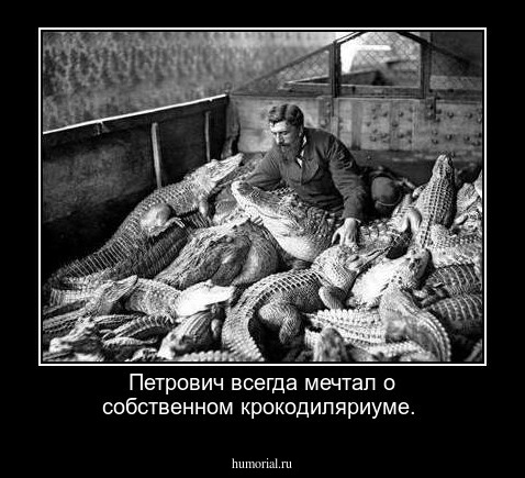  Петрович всегда мечтал о собственном крокодиляриуме.