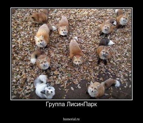 Группа ЛисинПарк