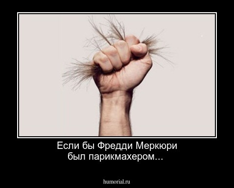Если бы Фредди Меркюри был парикмахером...