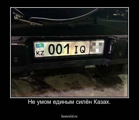 Не умом единым силён Казах.