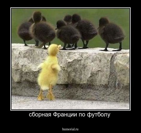 сборная Франции по футболу 