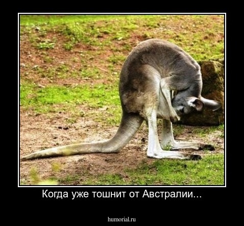 Когда уже тошнит от Австралии...