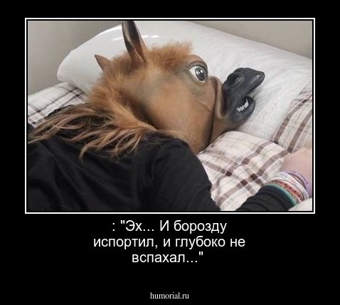  : "Эх... И борозду испортил, и глубоко не вспахал..."