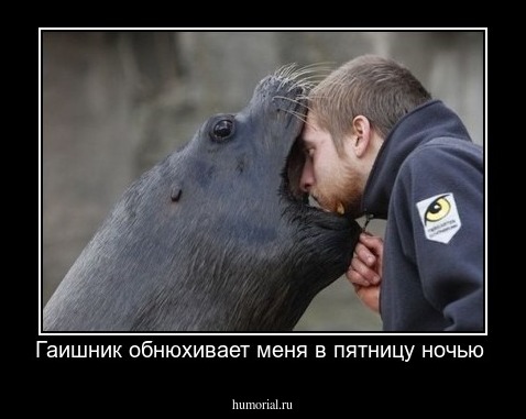 Гаишник обнюхивает меня в пятницу ночью 