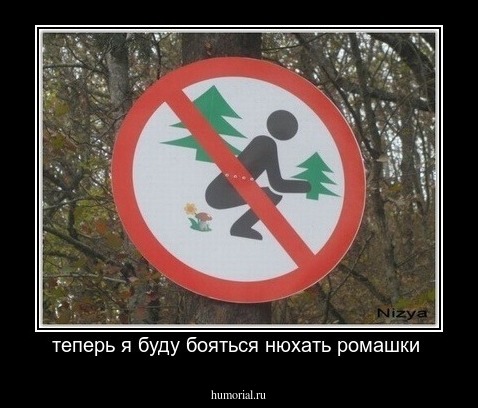 теперь я буду бояться нюхать ромашки 