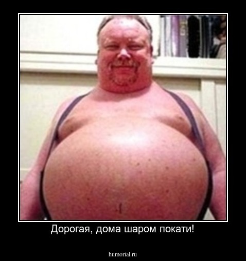 Дорогая, дома шаром покати!
