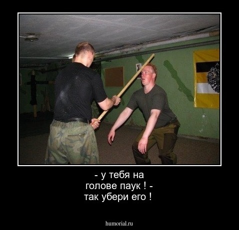 - у тебя на голове паук !
- так убери его !