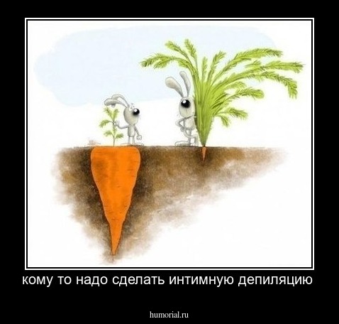кому то надо сделать интимную депиляцию 