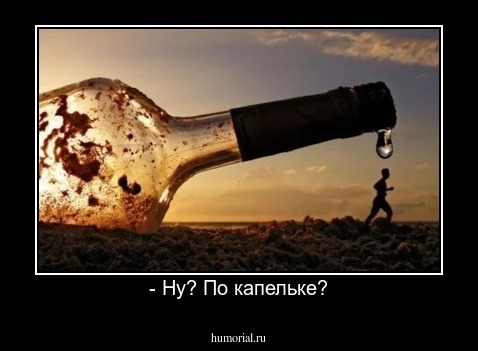 - Ну? По капельке?