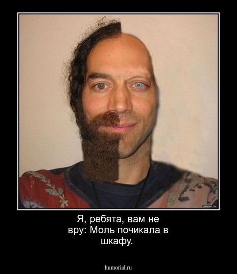 Я, ребята, вам не вру: Моль почикала в шкафу.