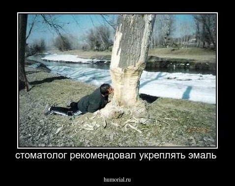 стоматолог рекомендовал укреплять эмаль 