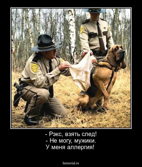 - Рэкс, взять след! - Не могу, мужики. У меня аллергия!