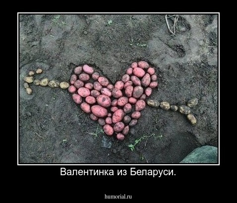 Валентинка из Беларуси.