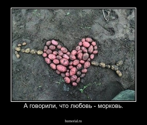 А говорили, что любовь - морковь.