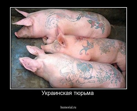 Украинская тюрьма 