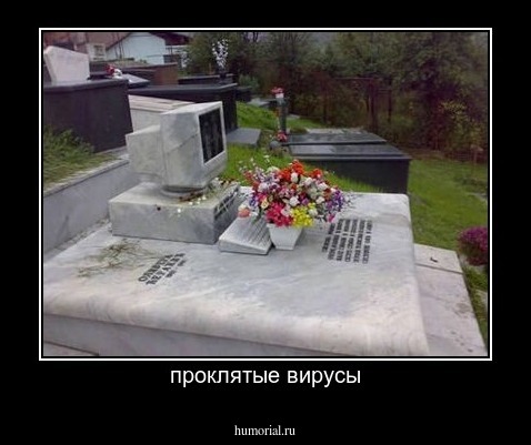 проклятые вирусы