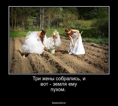 Три жены собрались, и вот - земля ему пухом.