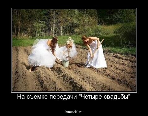 На съемке передачи "Четыре свадьбы"