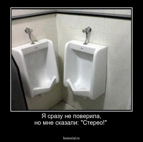 Я сразу не поверила, но мне сказали:  "Стерео!" 