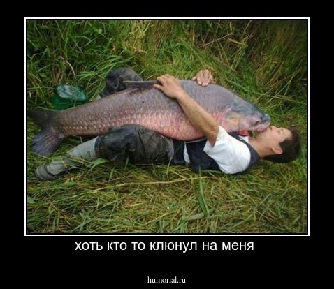 хоть кто то клюнул на меня 