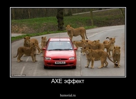AXE эффект