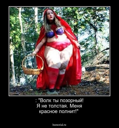  : "Волк ты позорный! Я не толстая. Меня красное полнит!"