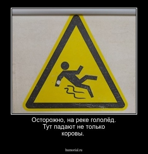 Осторожно, на реке гололёд. Тут падают не только коровы.