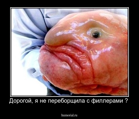Дорогой, я не переборщила с филлерами ? 