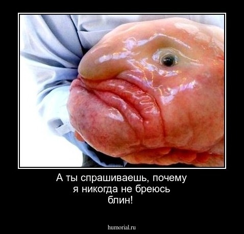 А ты спрашиваешь, почему я никогда не бреюсь блин!