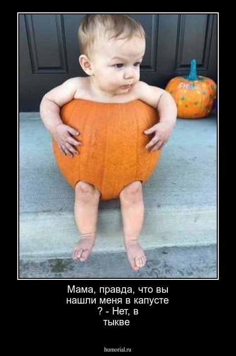 Мама, правда, что вы нашли меня в капусте ? - Нет, в тыкве 