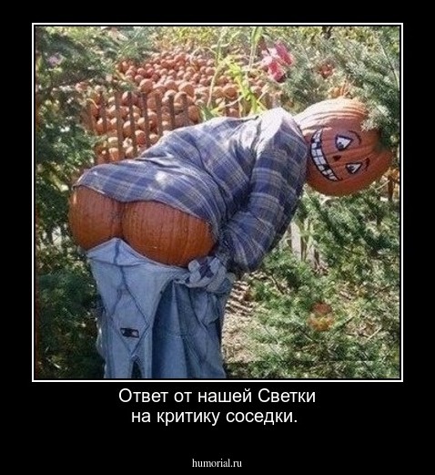 Ответ от нашей Светки на критику соседки.