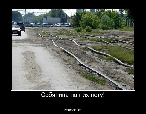 Собянина на них нету!