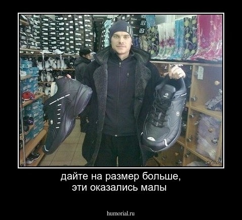 дайте на размер больше, эти оказались малы 